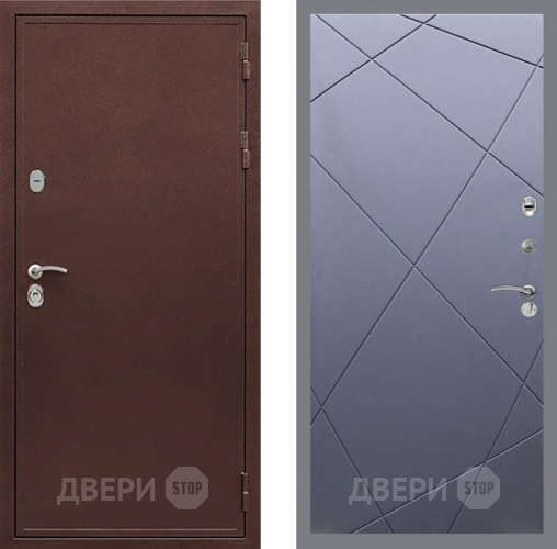 Дверь Рекс (REX) 5 металл 3 мм FL-291 Силк титан
